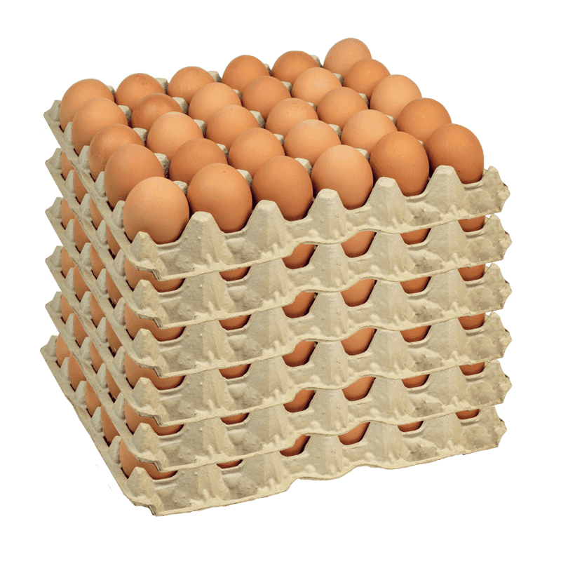 Imagen de CAJA DE HUEVOS EXTRA ( 6 BANDEJAS )